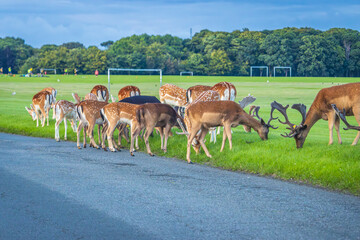 Naklejka premium Dublin, Ireland - July 12 2023 - 