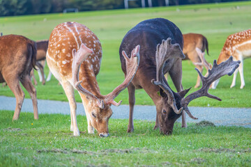 Dublin, Ireland - July 12 2023 - 