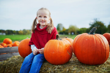 Adorable preschooler girl in red poncho selecting pumpkin on farm