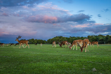 Dublin, Ireland - July 12 2023 - 