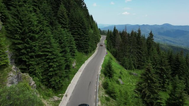 Top view: A drone following cars driving on a road through a spruce forest with a view of mountains. Bucegi Mountains, Romania