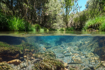 Wild river with clear water, natural scene, split view over and under water surface, Spain, Galicia, Pontevedra province