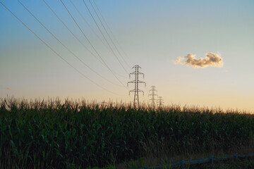 high voltage pylons in the field at sunset