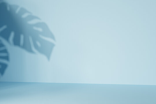 Minimal background scene with natural lighting and leaves shadow background, 3d render