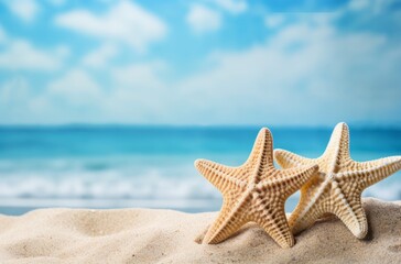Photo of two starfish on a sandy beach with the ocean in the background