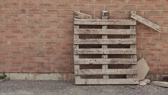 broken wood colored palette skid standing right side up on pavement against a light red brick wall