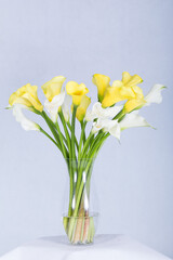 Naklejka na ściany i meble Beautiful bouquet arranged in a vase, on a white background
