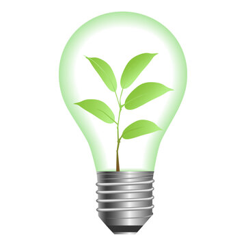 L√°mpara con planta. Concepto de mundo ecol√≥gico. Reciclar y ahorrar luz.