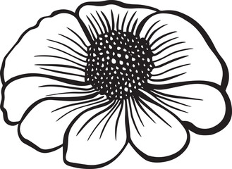 black and white flower isolated