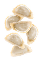 Tasty dumplings (varenyky) falling against white background