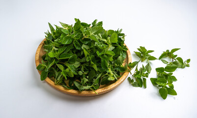 Harvested, oregano, wooden tray, close-up, white background