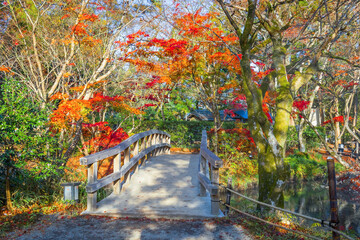Autumn Scenery in a Park in the Famous Yufuin Resort Town
