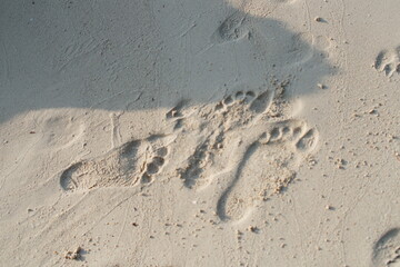 footprint on the beach