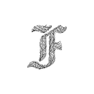 letter F branches hand drawing vector isolated on background.	