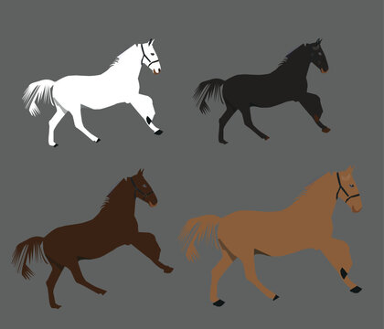 hores icon, vector design WINTER BLISS - Four beautiful wild horses run down