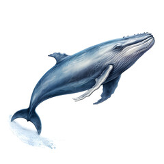 Brushstroke watercolor style realistic full body portrait of a whale on white background Generated by AI 02
