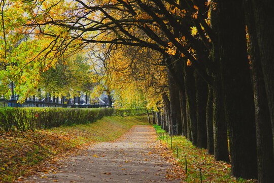 Autumn park landscape . Golden autumn in the city park. Photos on the calendar. Season. September, October, November