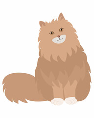 The Smiling Brown Fluffy Cat