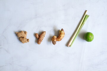 Various rhizome in white background 