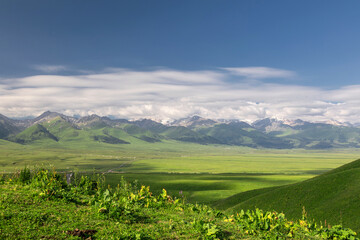 Fototapeta na wymiar Natural scenery of Narat prairie in Xinjiang