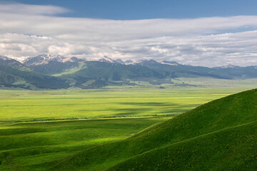 Natural scenery of Narat prairie in Xinjiang