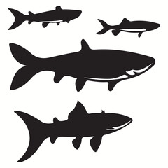 Barracuda silhouettes and icons. Black flat color simple elegant Barracuda animal vector and illustration.	