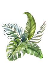 Watercolor Tropical Leaves and Florals