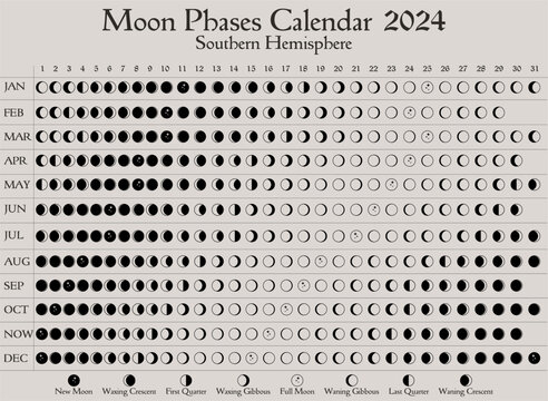 Calendario lunar 2024 Vectors & Illustrations for Free Download