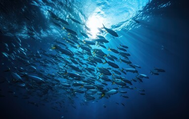 School of fish swimming under water of sea.