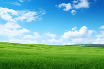 Foto op Canvas 青空と緑の丘陵地帯に広がる広大な草原04 © chobopapa