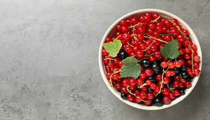 Different fresh ripe currants in bowl on light grey table, top view. Space for text