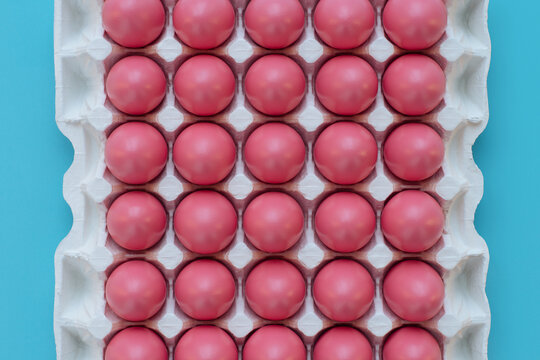 Colorful results of preparations for Easter celebration: bright pink eggs rubbed with vegetable oil lying in white egg tray against turquoise background, high angle view 