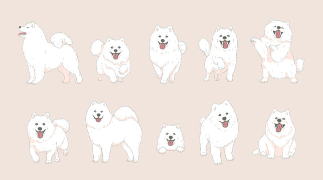 Cute Cartoon Samoyed Dog set