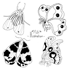 Collection of insects, butterflies or wild moths, mystical symbols, hand drawn vintage drawings for wedding card or logo. Arthropod illustration on white background.