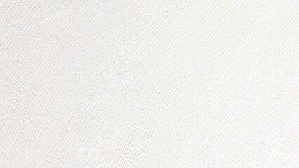white paper texture