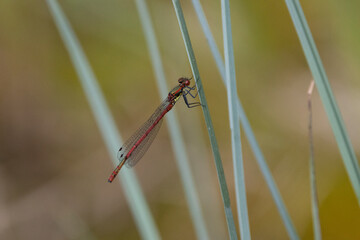 adobe stock ausgewertet