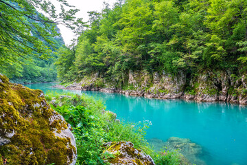 Tara River. Montenegro - 632008438
