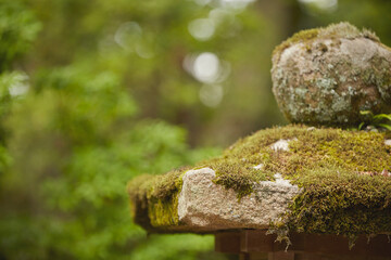 Japanese traditional shrine scenery, Japan travel
