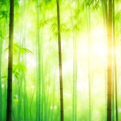 Fototapeta na wymiar Natural blurred bamboo forest background