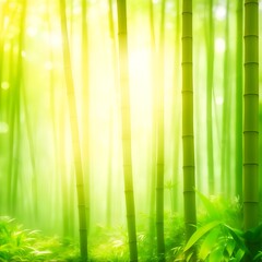 Natural blurred bamboo forest background