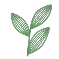 Green leaf 