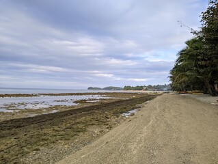 beach in the morning