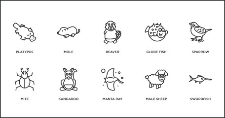 animals outline icons set. thin line icons such as beaver, globe fish, sparrow, mite, kangaroo, manta ray, male sheep vector.