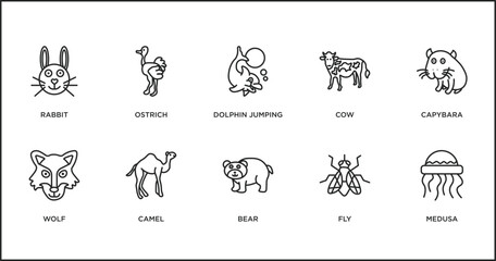 animals outline icons set. thin line icons such as dolphin jumping, cow, capybara, wolf, camel, bear, fly vector.
