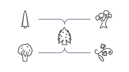 nature outline icons set. thin line icons such as red spruce tree, eastern white pine tree, eastern hemlock tree, black walnut cucumber vector.