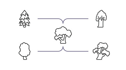nature outline icons set. thin line icons such as red pine tree, american chestnut tree, honey-locust tree, sassafras bitternut hickory vector.