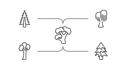 nature outline icons set. thin line icons such as american larch tree, black willow tree, pignut hickory tree, pin cherry balsam fir vector.