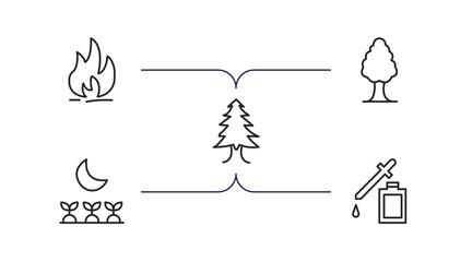 nature outline icons set. thin line icons such as flame, white ash tree, arborvitae tree, cultivation, essence vector.