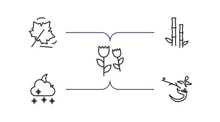 nature outline icons set. thin line icons such as autumn leaves, bamboo plant from japan, pair of flowers, night snow, ikebana flowers vector.