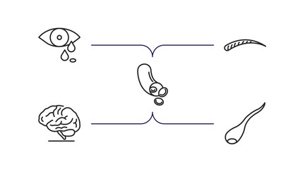 human body parts outline icons set. thin line icons such as sweat or tear drop, human eyebrow, blood vessel, brain body organ, sperms vector.